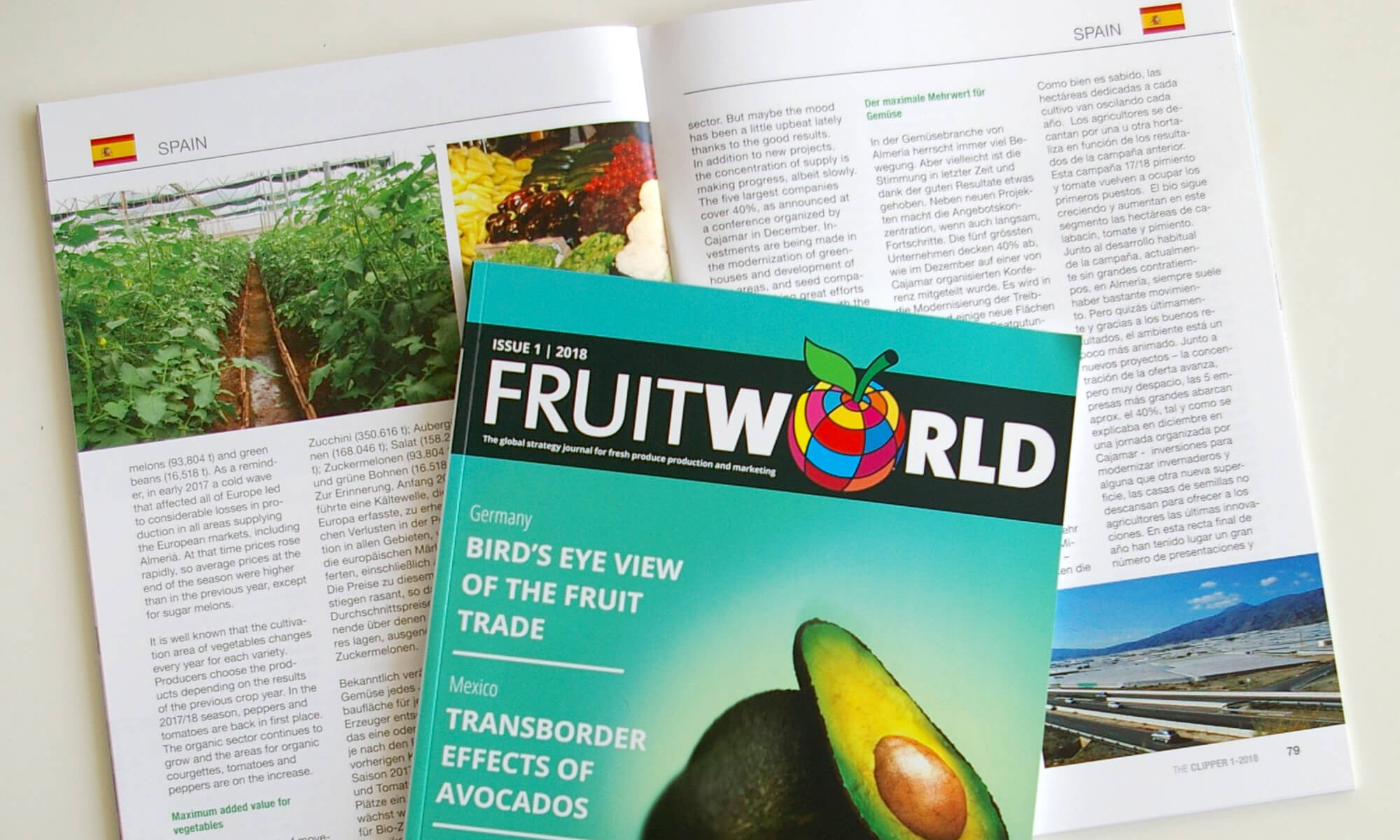 The Fruitworld 1-2018