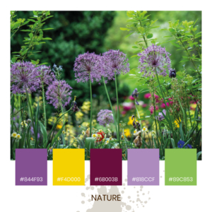Colour Inspiration - Nature