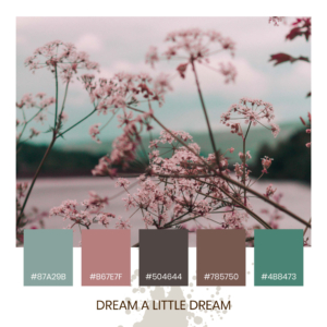 Colour Inspiration - Dream